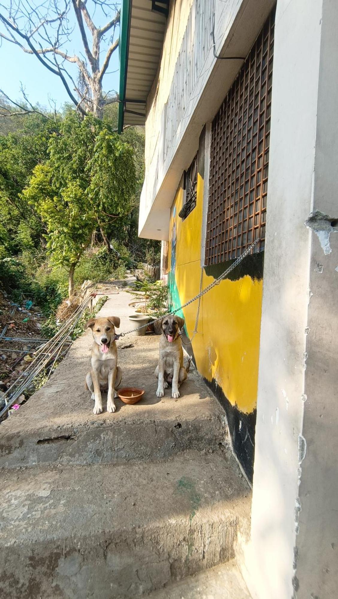 Blabla House Rishikesh Hostel Ngoại thất bức ảnh