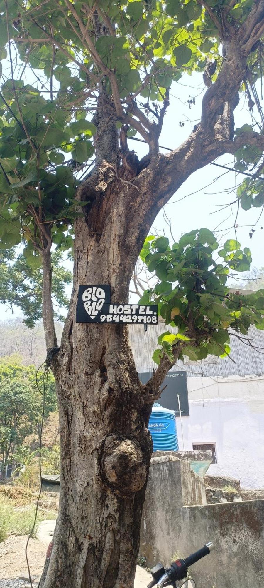 Blabla House Rishikesh Hostel Ngoại thất bức ảnh